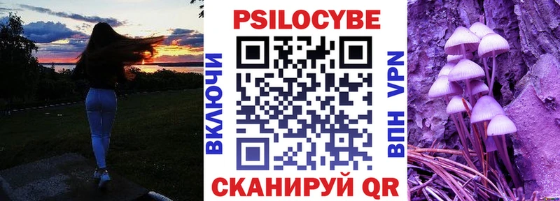 Купить закладки  Тамбов  Псилоцибиновые грибы Magic Shrooms 